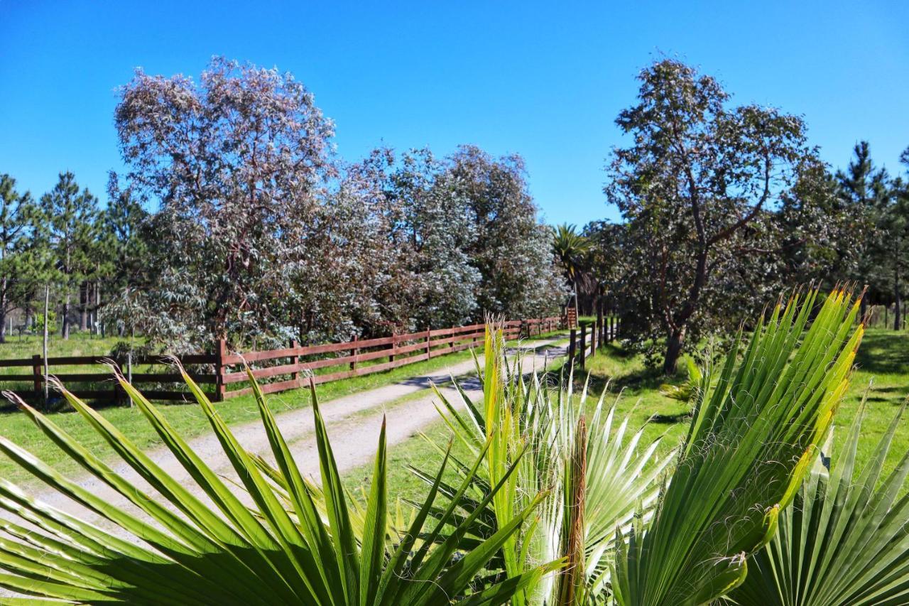 Casa De Campo Lo De Fatsia Колонія-дель-Сакраменто Екстер'єр фото